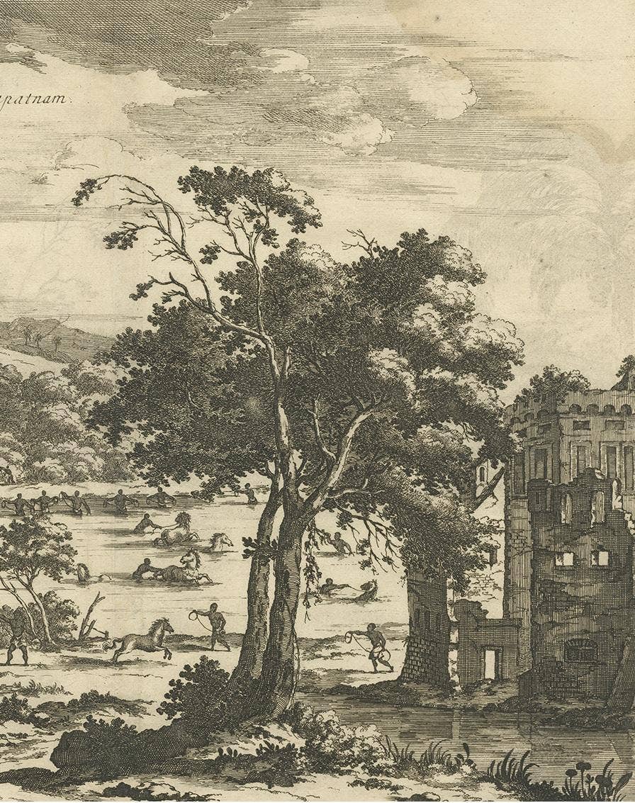 Antique Print of Horse Catching in Ceylon/Sri Lanka by P. Baldaeus (1672)
