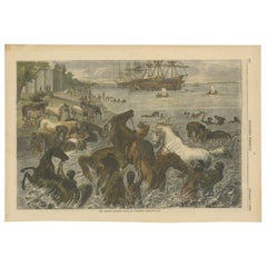 Antique Print of Horses bathing in Kolkata, 1868