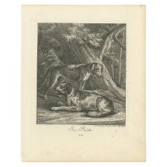 Antique Print of Hunting Dogs by Ridinger 'c.1760'