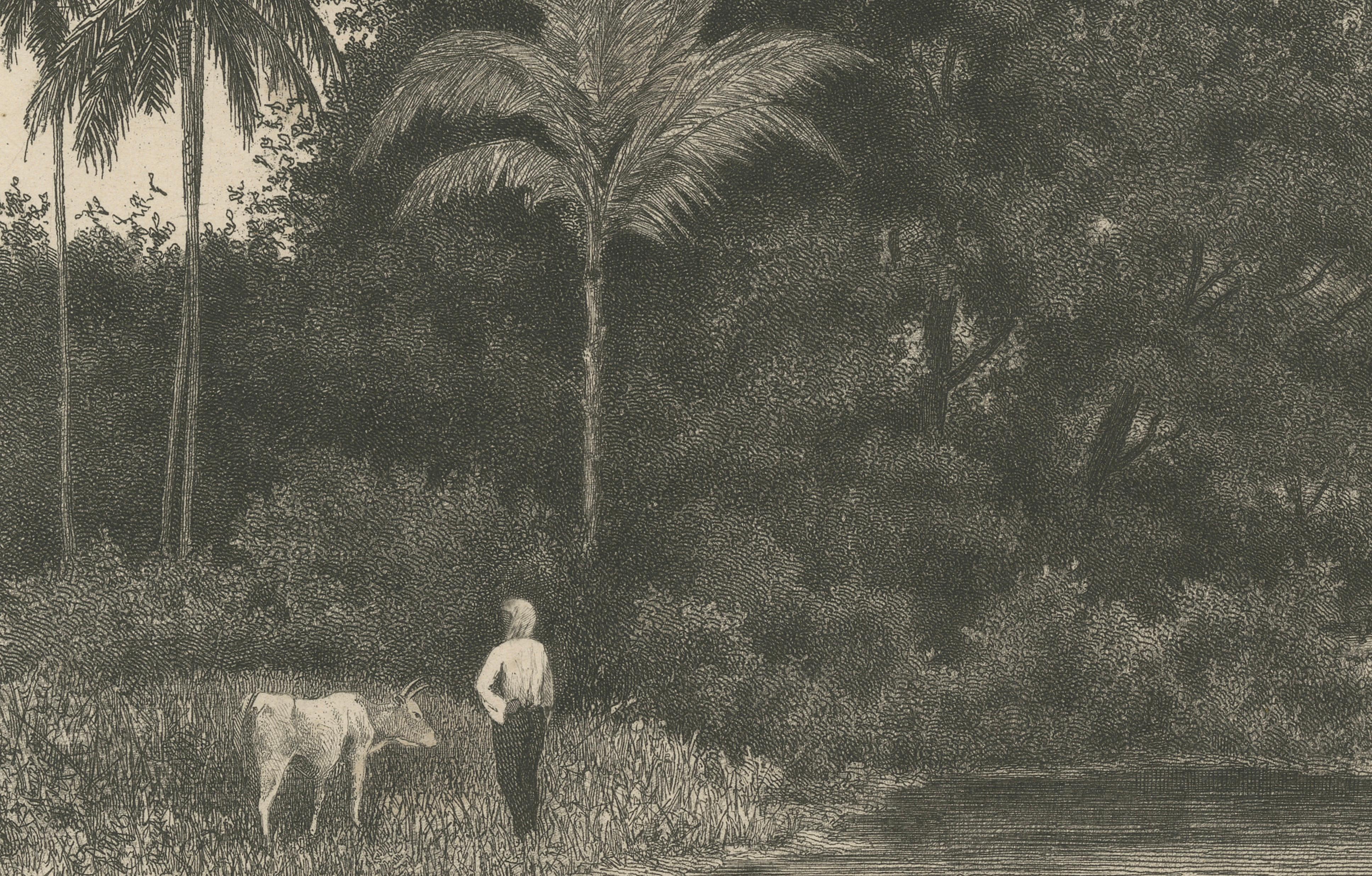 Inciso Stampa antica di Albero di Koebang con Kalongs, Sumatra di van Kesteren, 1887 ca. in vendita