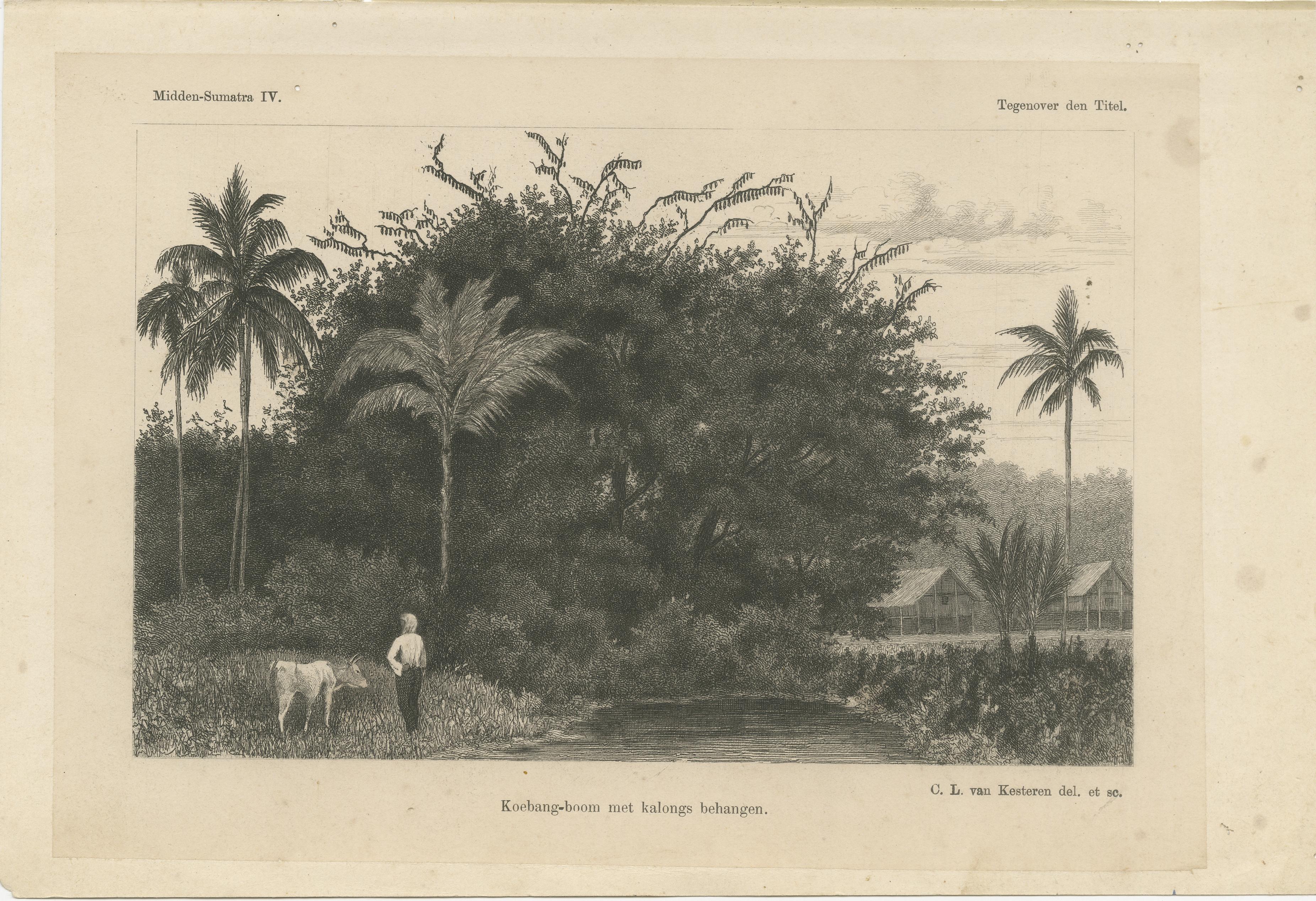 XIX secolo Stampa antica di Albero di Koebang con Kalongs, Sumatra di van Kesteren, 1887 ca. in vendita