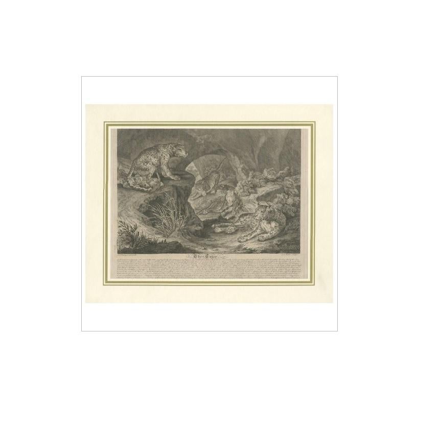 Antique print titled 'The Tyger'. By J.S. Müller after I.E. Ridinger. This print originates from 'Study of the wild animals' published in London, 1794.