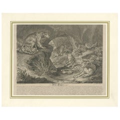 Antique Print of Leopards by J.S. Müller, 1794