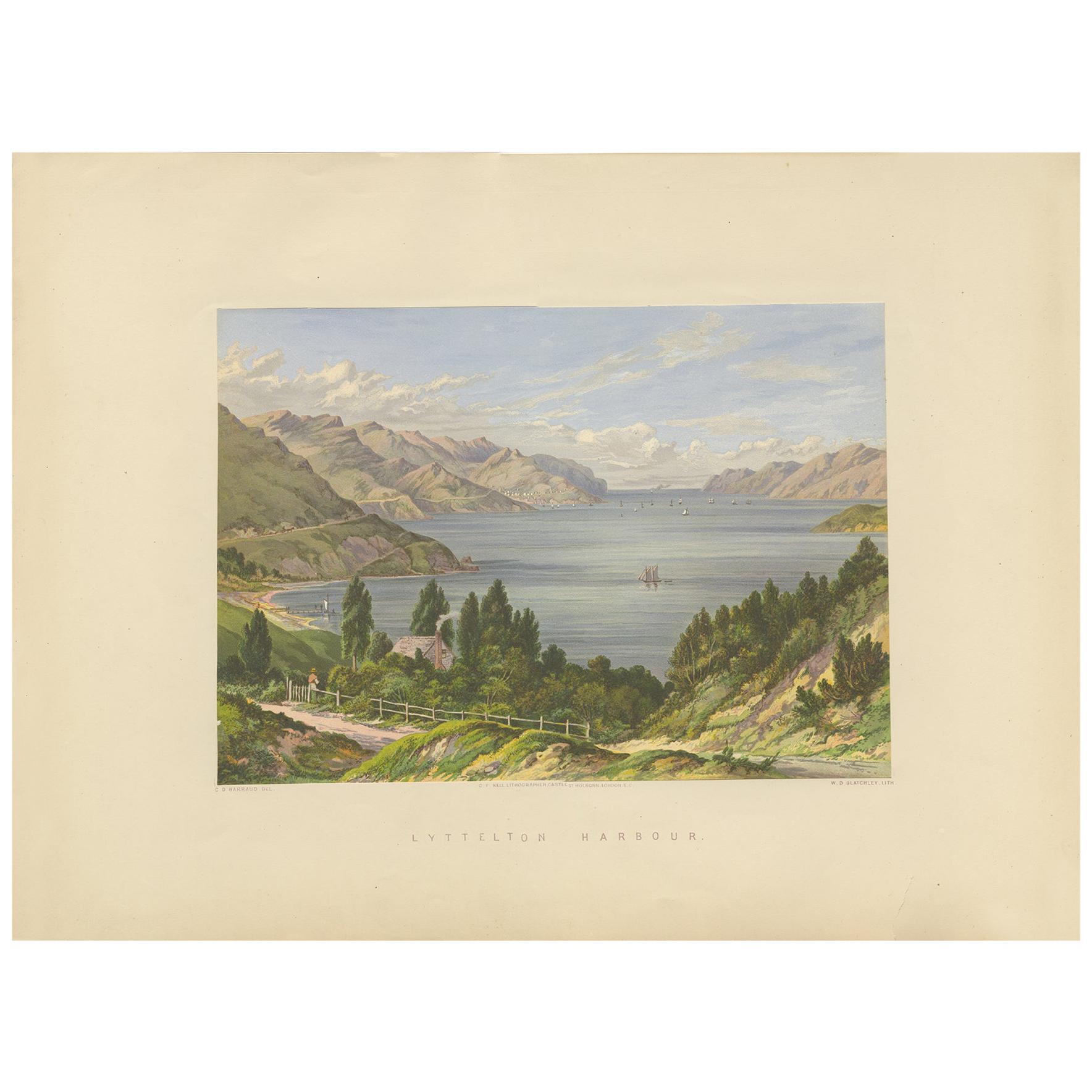 Antique Print of Lyttelton Harbour 'New Zealand' by Blatchley, circa 1877 For Sale