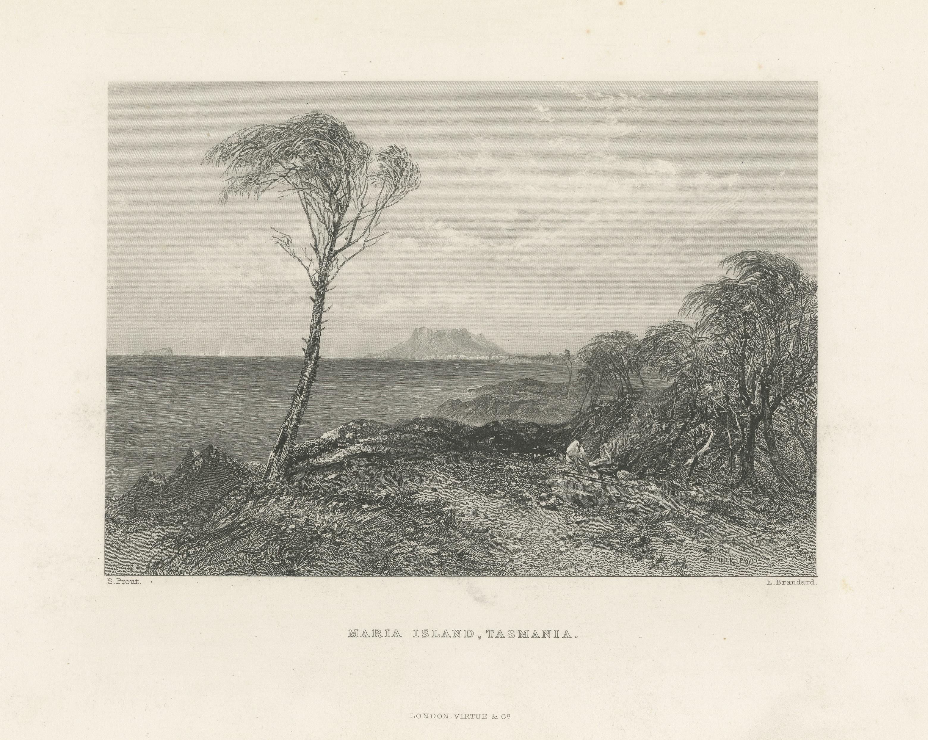 Antique Print of Maria Island located in the Tasman Sea In Fair Condition For Sale In Langweer, NL