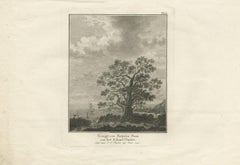 Antique Print of Matavia Bay 'Tahiti' by Cook, 1803