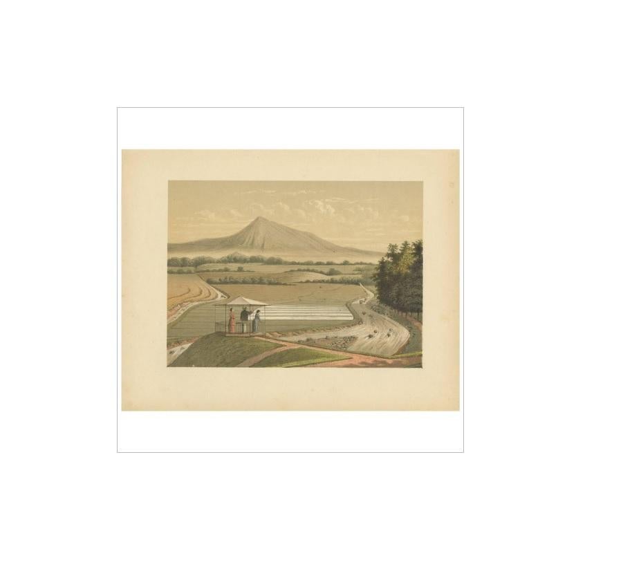 Gravure ancienne du Mont Pangrango, un stratovolcan dormant situé dans l'arc de la Sonde, à l'ouest de Java, en Indonésie. Cette gravure provient de 