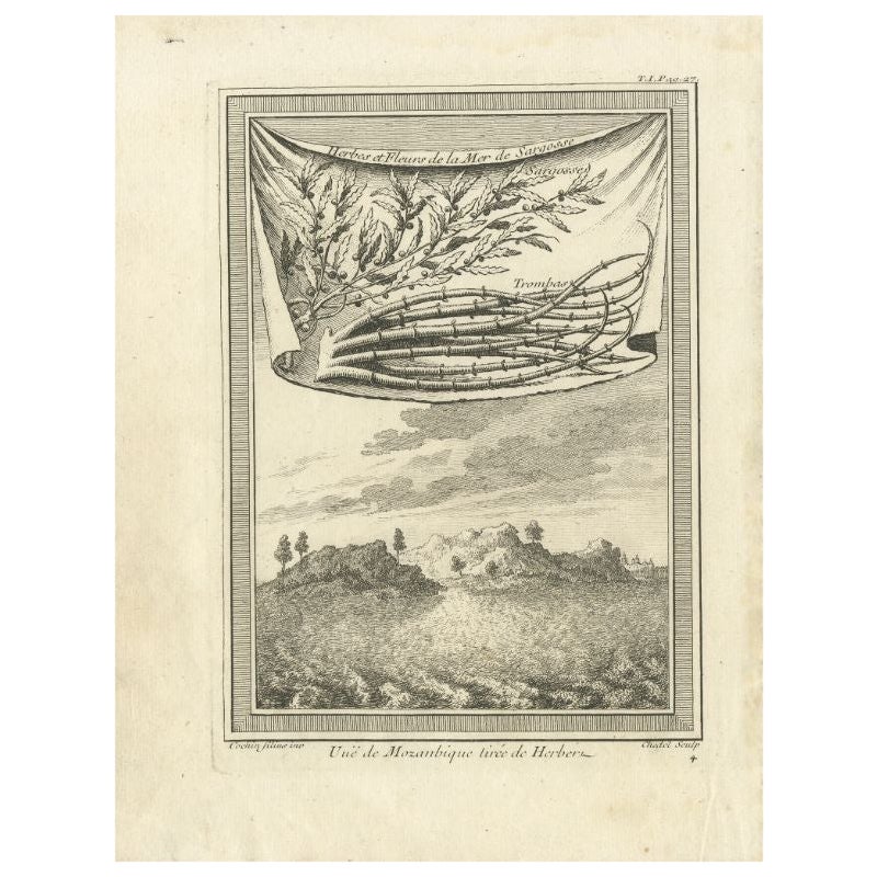 Antique Print of Mozambique and the Sargasso Sea, Africa, circa 1746
