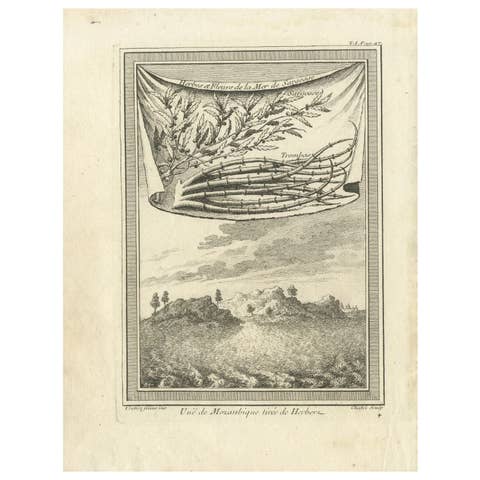 Antique Print of Mozambique and the Sargasso Sea, Africa, circa 1746