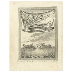 Antique Print of Mozambique and the Sargasso Sea, Africa, circa 1746