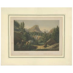 Antique Print of Nature in Hungary by Andrasay, 1857
