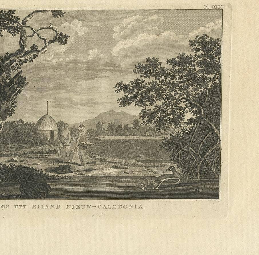 Antique Print of New Caledonia Island by Cook, 1803