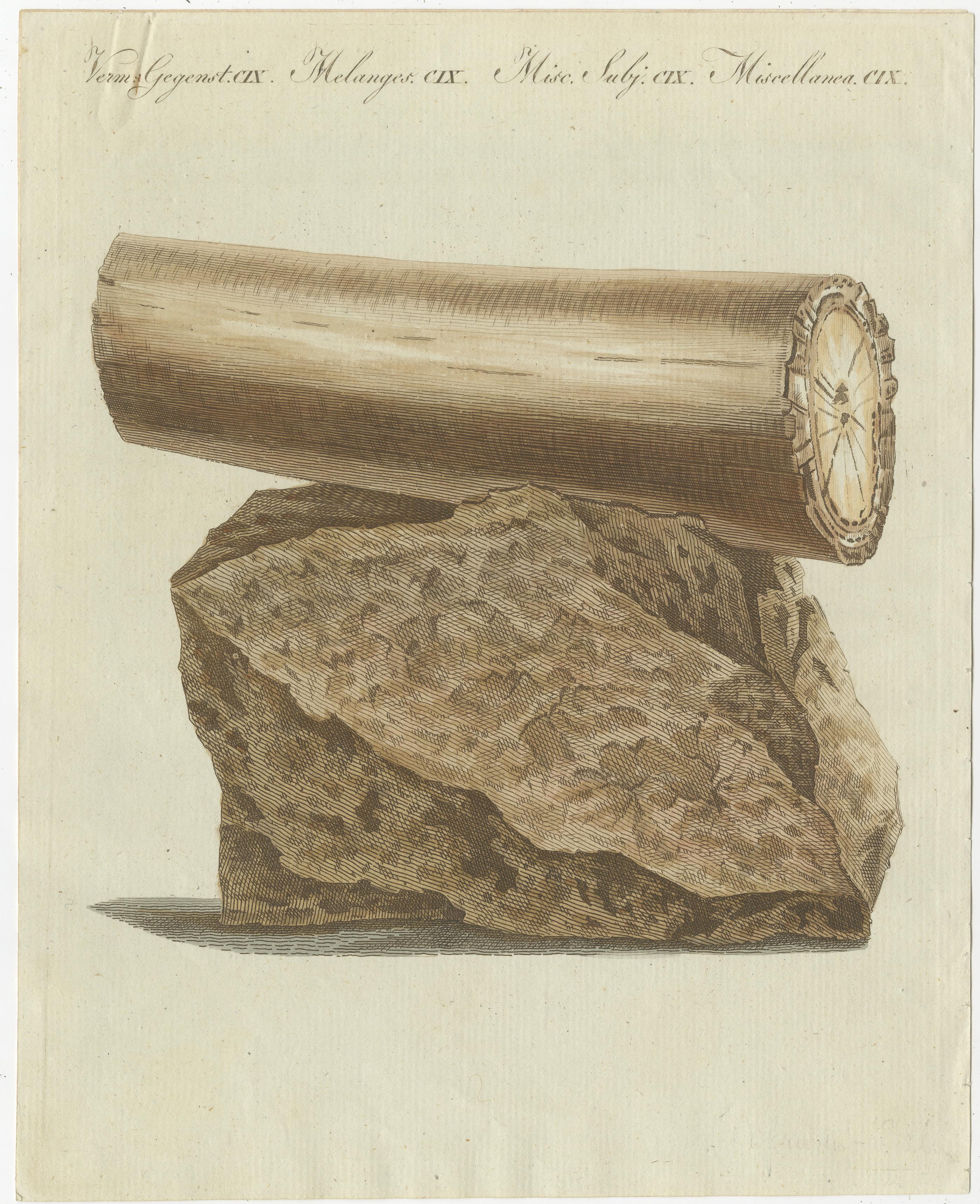 Antique print of part of an excavated elephant's tusk. This print originates from 'Bilderbuch fur Kinder' by F.J. Bertuch. Friedrich Johann Bertuch (1747-1822) was a German publisher and man of arts most famous for his 12-volume encyclopedia for