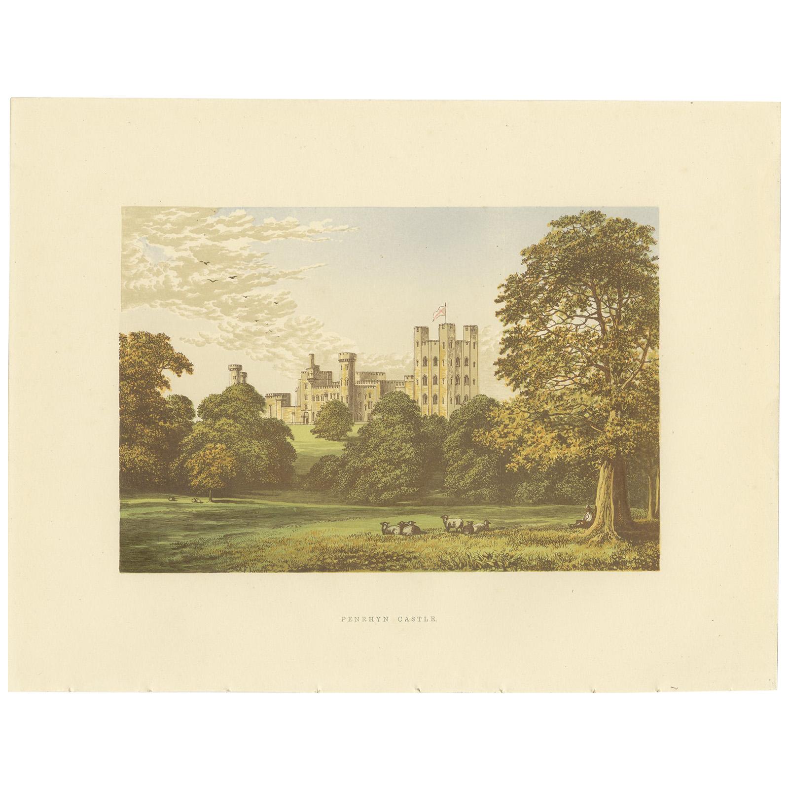 Antique Print of Penrhyn Castle by Morris, circa 1880 For Sale