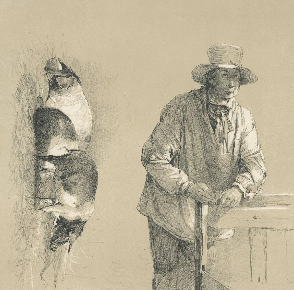 Original Antique Print of Pigs and a Farmer by Ducôte 'circa 1840'