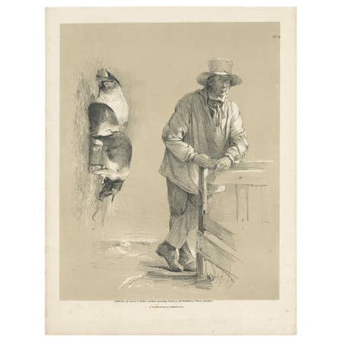 Original Antique Print of Pigs and a Farmer by Ducôte 'circa 1840'