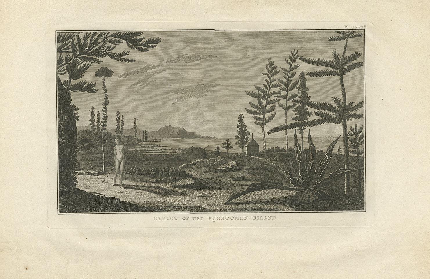 Antique print titled 'Gezigt op Pijnboomen-Eiland'. This print depicts a view of Pine Tree Island. Originates from 'Reizen rondom de Waereld' by J. Cook. Translated by J.D. Pasteur. Published by Honkoop, Allart en Van Cleef.