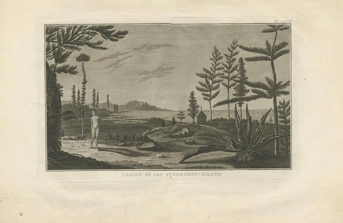Antique Print of Pine Tree Island by Cook '1803'