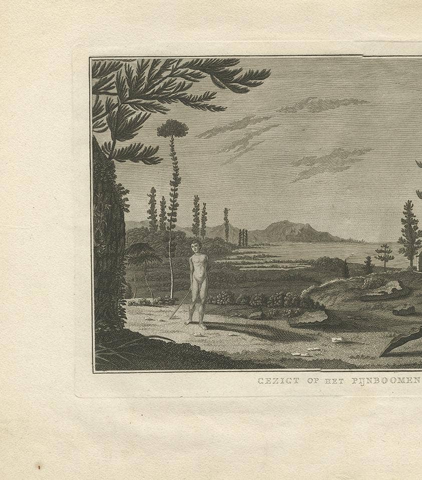 Antique Print of Pine Tree Island by Cook '1803'