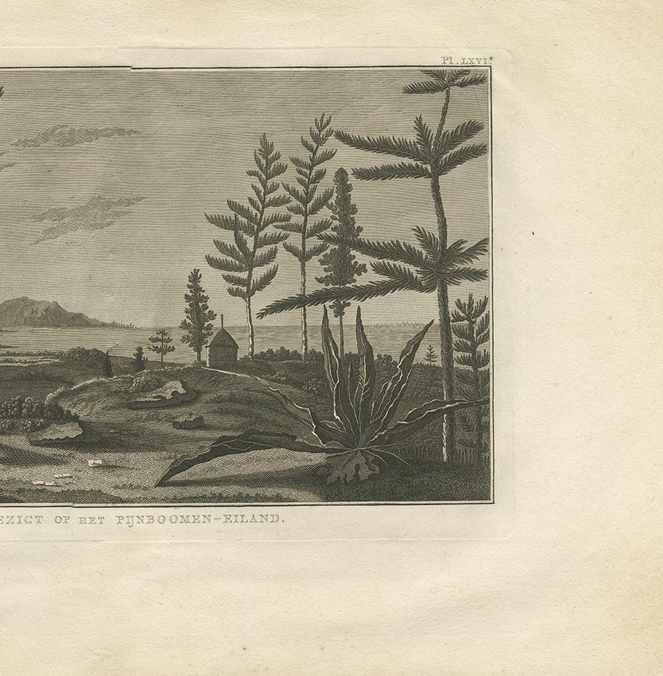 Impression ancienne d'un île en pin par Cook ' 1803' Bon état - En vente à Langweer, NL