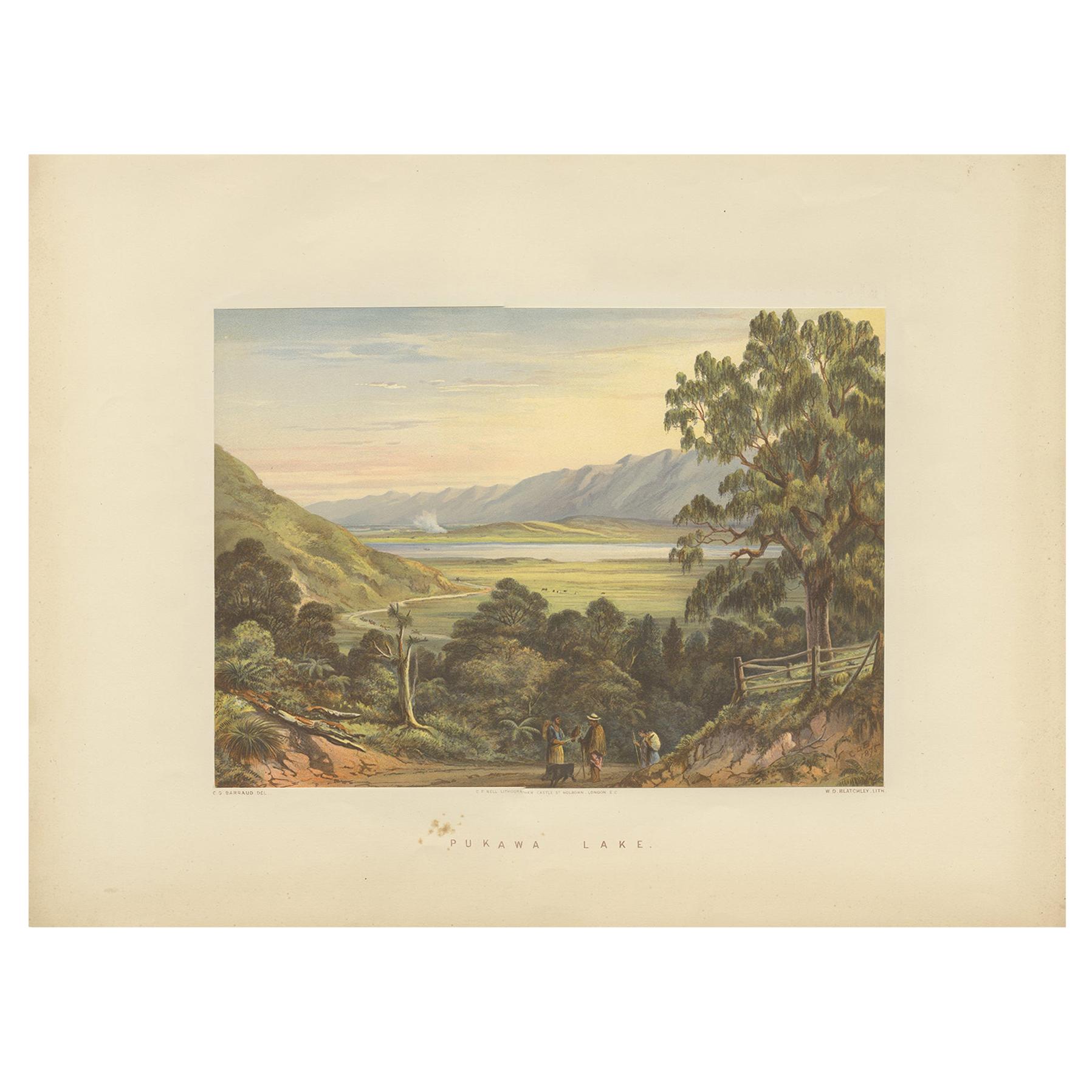 Antique Print of Pukawa Bay 'New Zealand' by Blatchley, circa 1877 For Sale