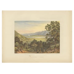 Antique Print of Pukawa Bay 'New Zealand' by Blatchley, circa 1877