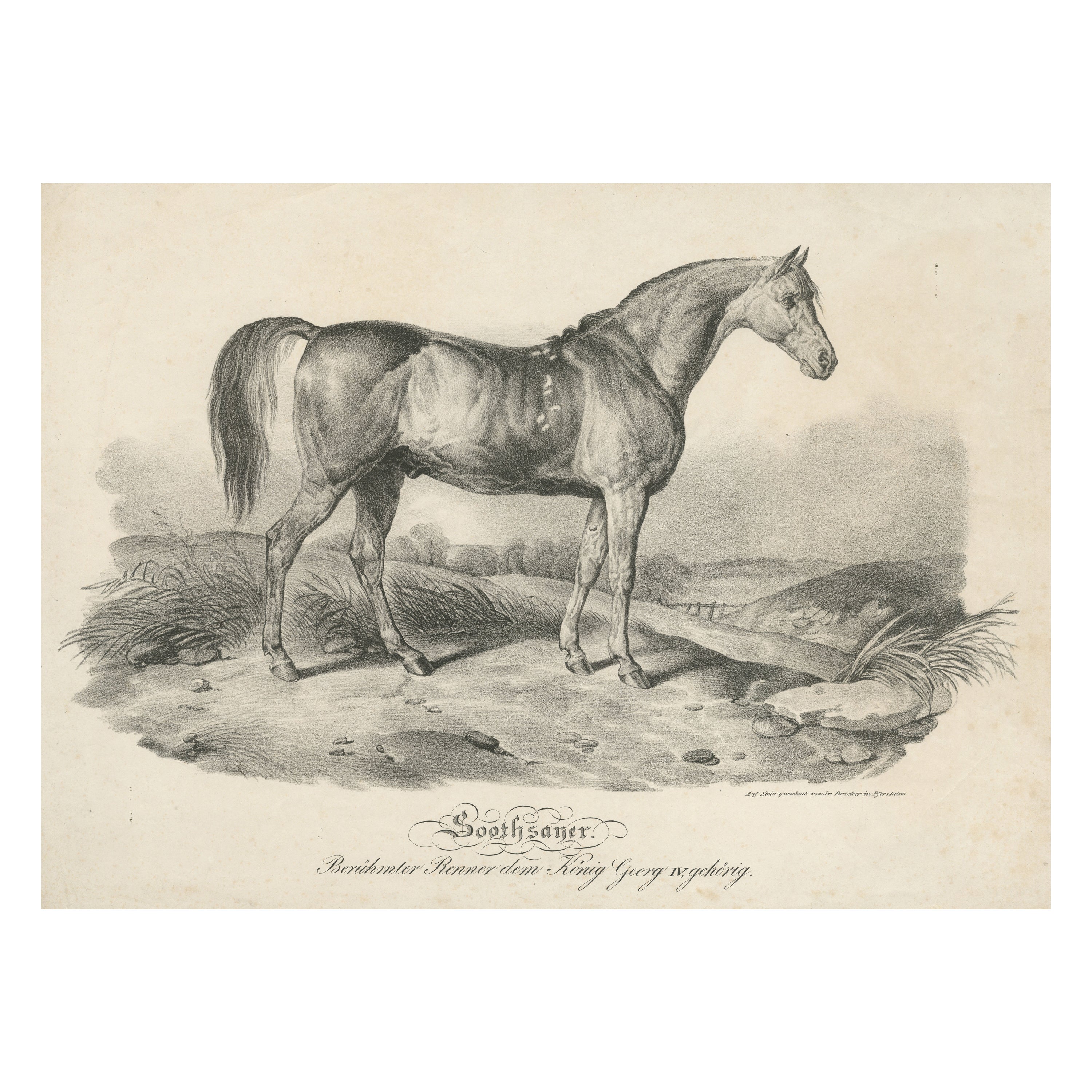 Impression ancienne de cheval de course Soothsayer, appartenant au roi George IV en vente