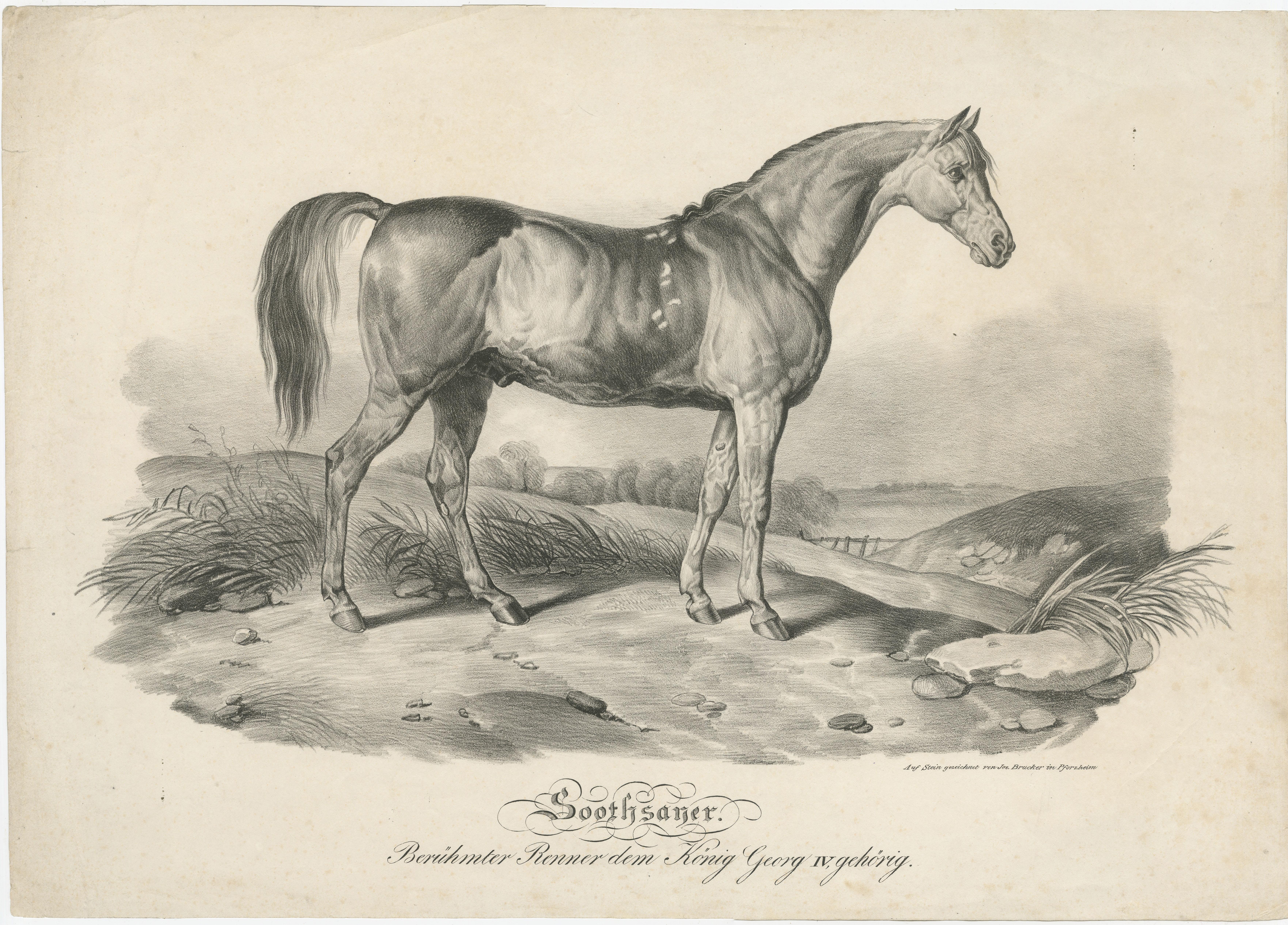 Antique print titled 'Soothsayer. Berühmter Renner dem König Georg IV, gehörig'. Original lithograph of racehorse 'Soothsayer', belonging to King George IV. Published by Jos. Brucker, circa 1840.