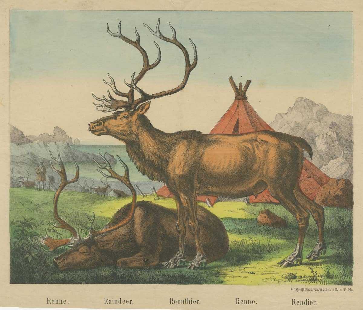 Antique Print of Reindeer near a Camp