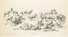 Antique Print of Sheep by Robert Hills, 1802