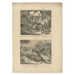 Antique Print of Snake Charmers and the Egyptian Mongoose, 1835