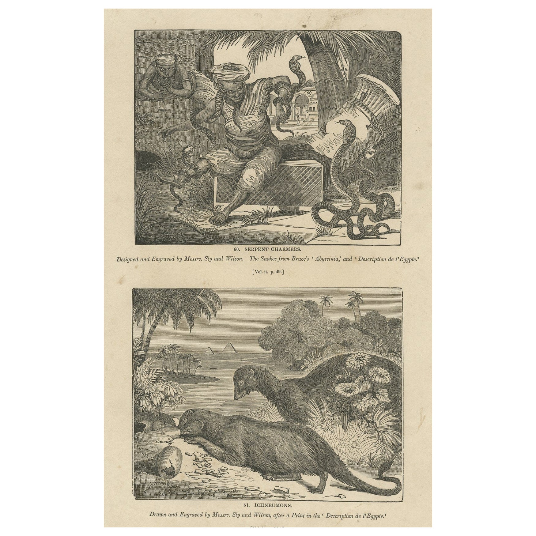 Impression ancienne de breloques serpents et de la Mongoose égyptienne, 1835 en vente