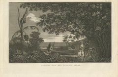 View of Tanna Island: A Glimpse into Vanuatu from Cook's Voyages, 1803