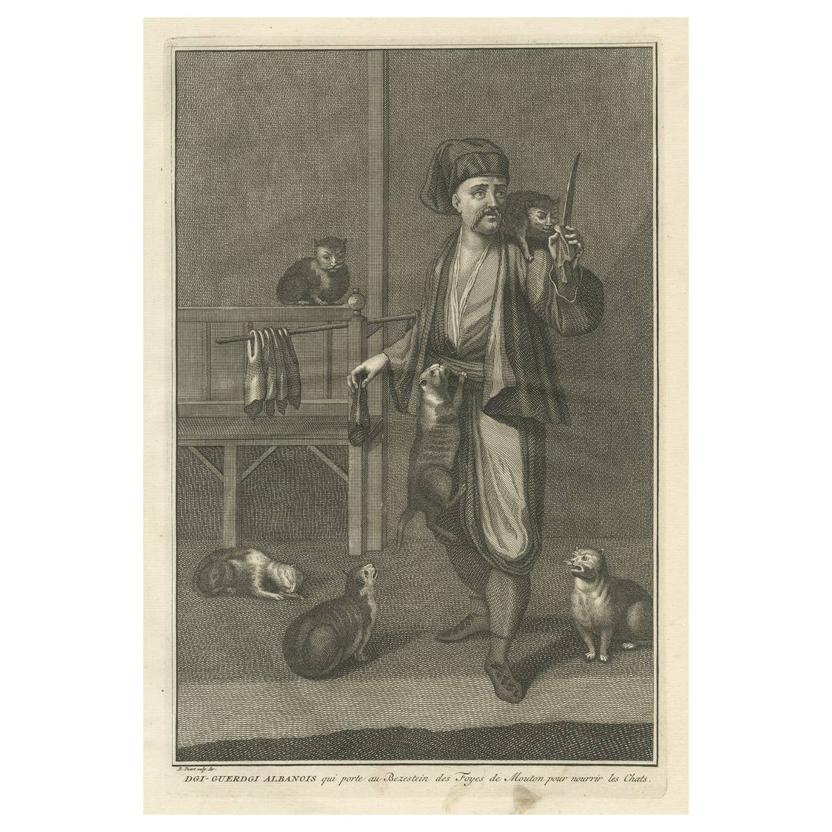 Antique Print of the Albanian Dgi-Guerdgi Feeding Sheep Liver to Cats, 1727