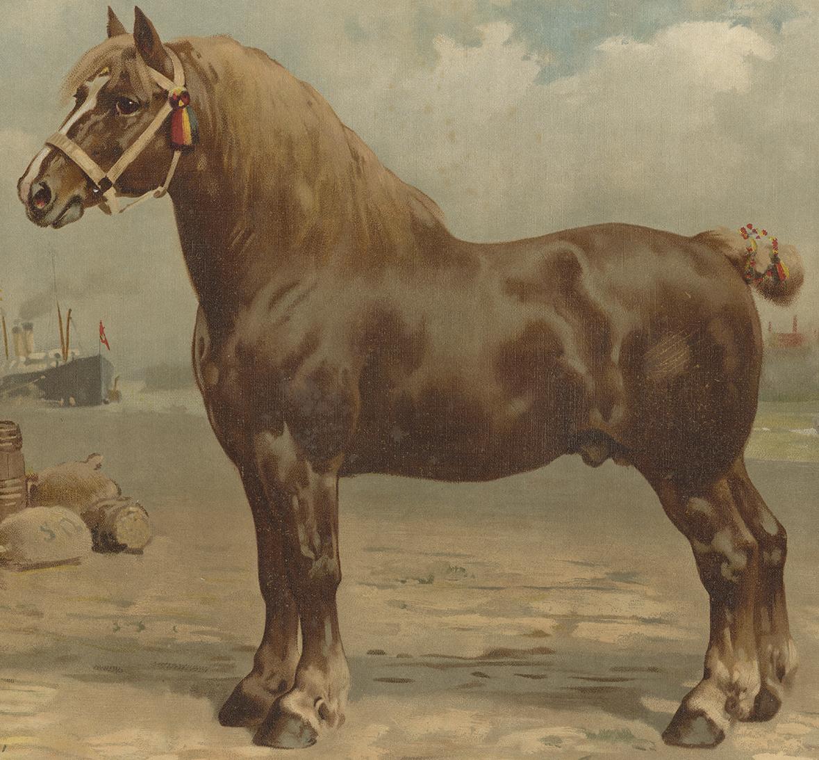 Antique Print of the Belgian Horse by O. Eerelman, 1898 In Good Condition In Langweer, NL