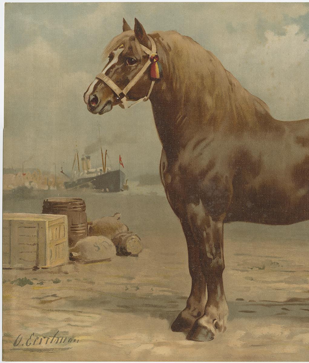 19th Century Antique Print of the Belgian Horse by O. Eerelman, 1898