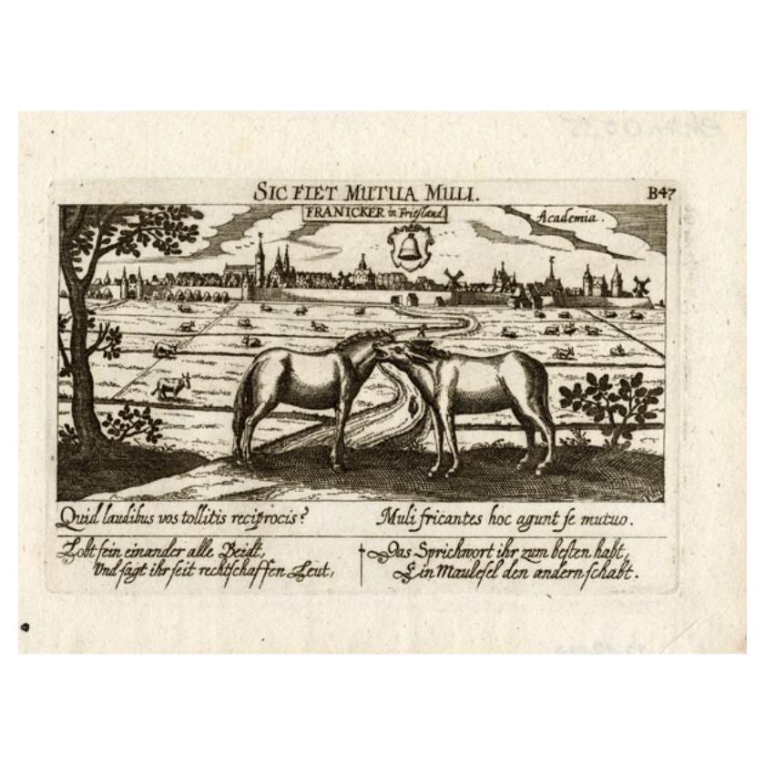 Antique Print of the City of Franeker by Meisner, 1678