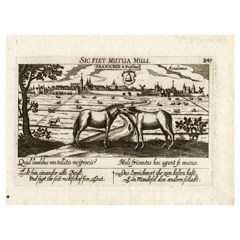 Antique Print of the City of Franeker by Meisner, 1678