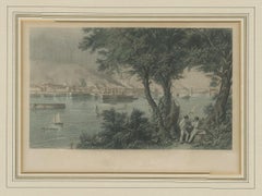Antique Print of the City of St. Louis by Appleton, 1872