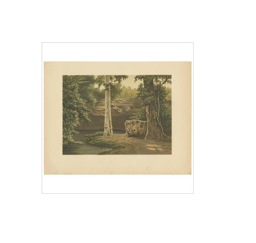 Antique Print of the Djati Forest by M.T.H. Perelaer, 1888 In Good Condition For Sale In Langweer, NL