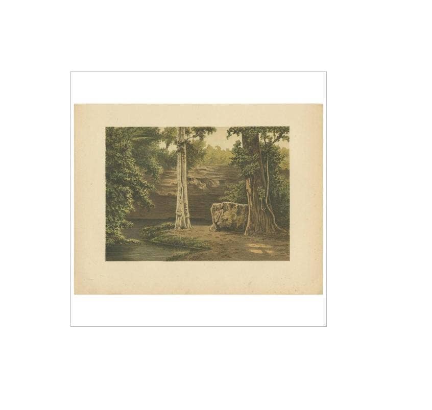Antique Print of the Djati Forest by M.T.H. Perelaer, 1888