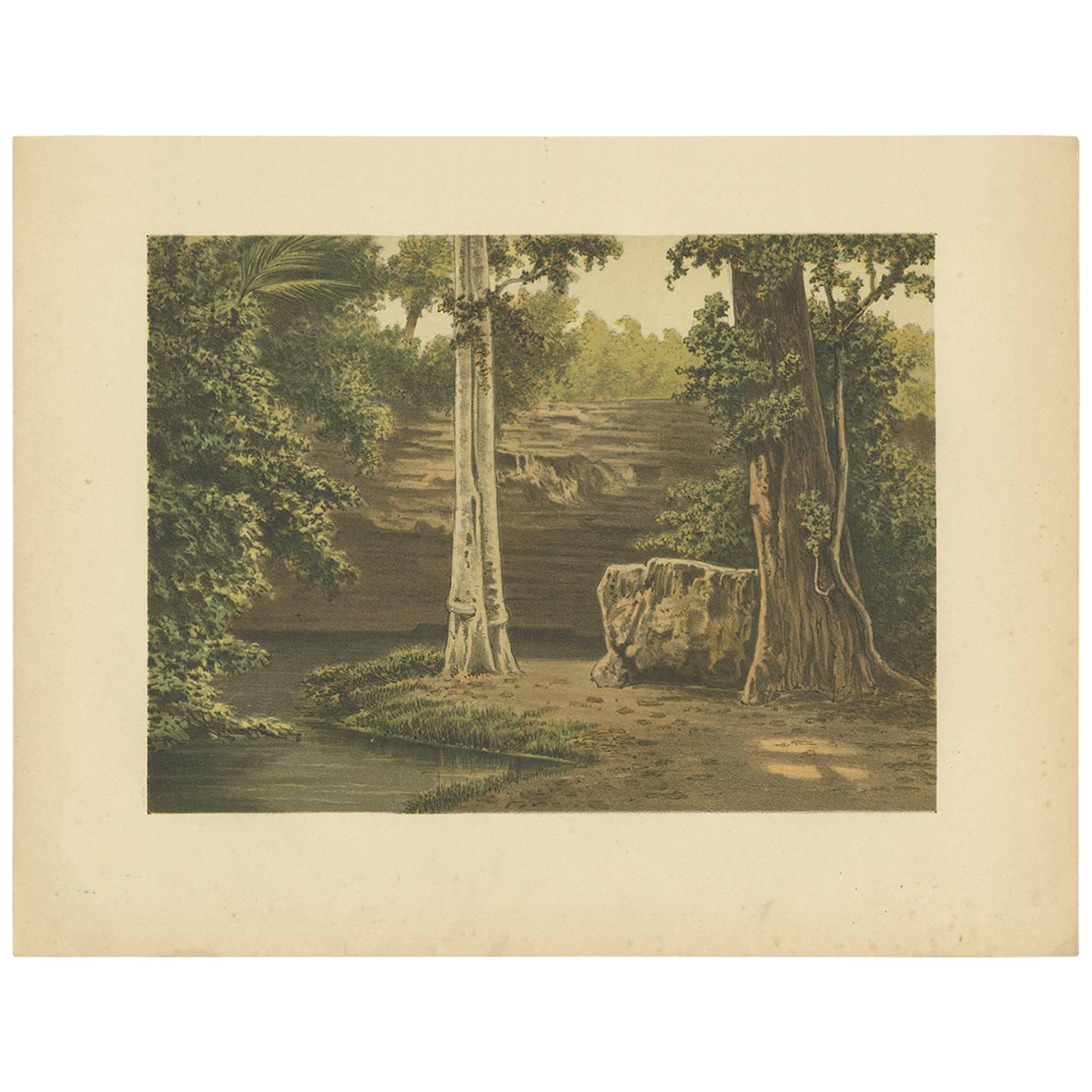 Impression ancienne de la forêt de Djati par M.T.H. Perelaer, 1888