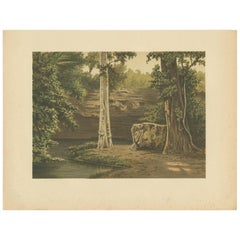Impression ancienne de la forêt de Djati par M.T.H. Perelaer, 1888