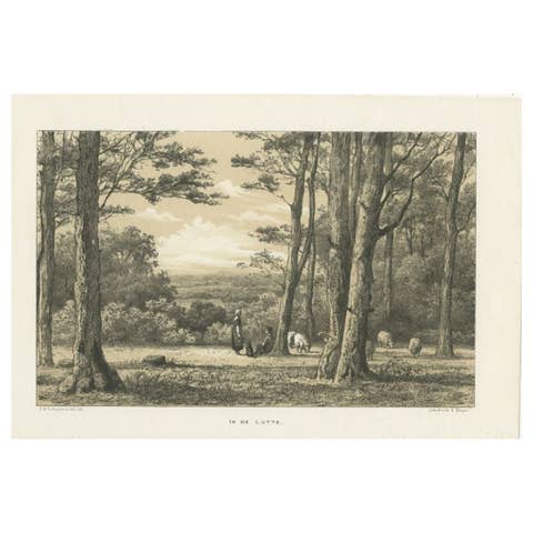 Antique Print of the Dutch Village of Lutte by Craandijk, 1876