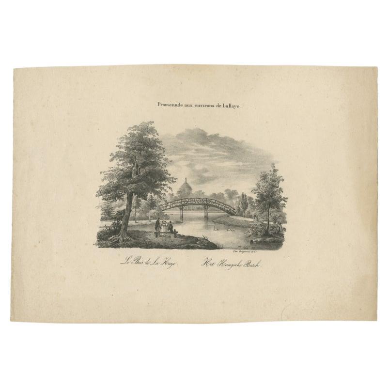 Antique Print of the Forest of the Hague by Last, c.1850 For Sale