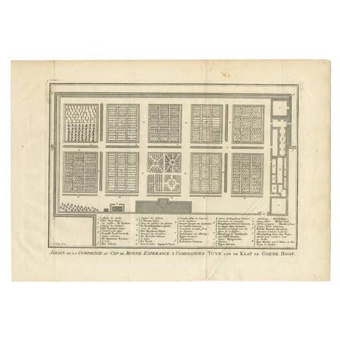 Antique Print of the Gardens at Cape of Good Hope by Van Schley, 1756