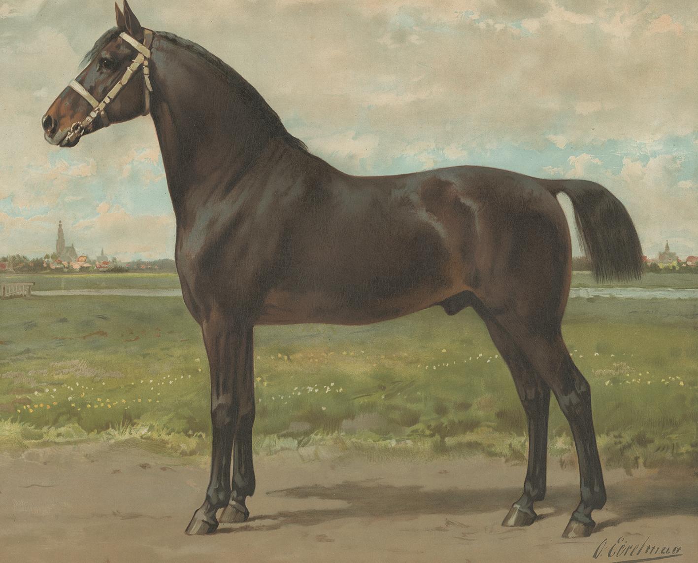 This specific print featuring the Groninger Horse was included in the Dutch edition of the 