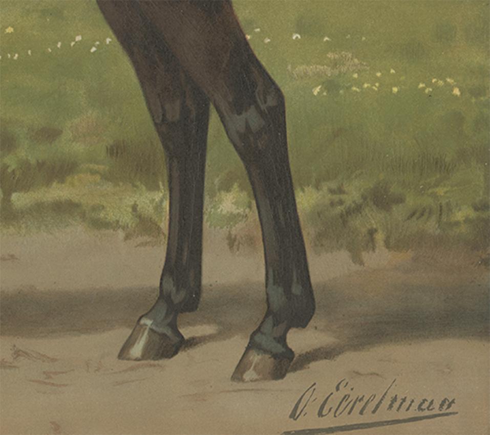 19th Century Antique Print of the Groninger Horse by O. Eerelman, 1898