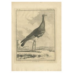 Antiker antiker Druck des Kamichi-Vogels von Buffon, 1795