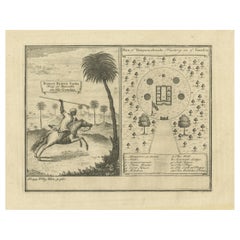 Stampa antica del re di Barsalli e della fabbrica di Yamyamakunda, Gambia, C1730